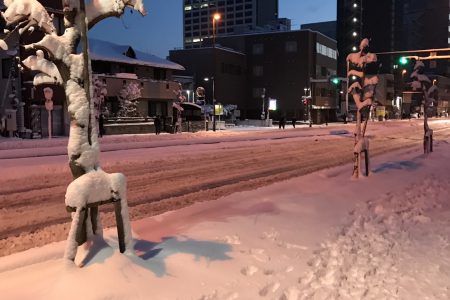 雪だーーー