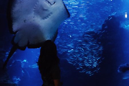 癒しの空間🐠💙💙💙