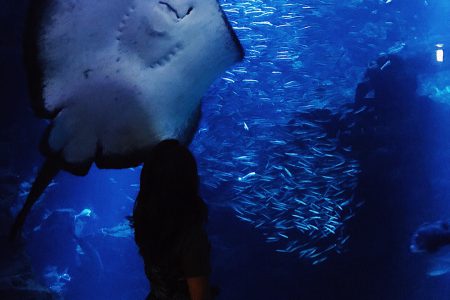 癒しの空間🐠💙💙💙