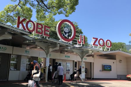 動物園🐨