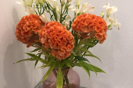 本日のお花💐