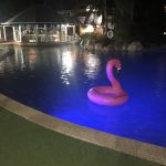 ナイトプール👙🌜✨