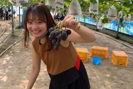 秋の味覚🍇🍇