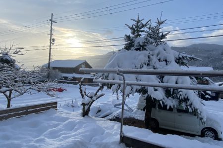 雪！！