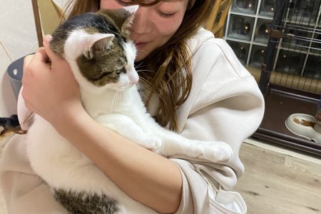 ねこ