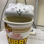 ひょこっと🐈