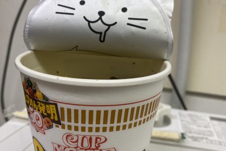 ひょこっと🐈