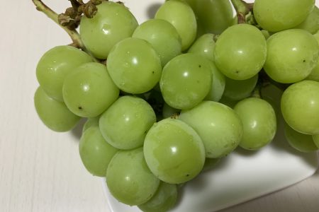 食べ物の秋🍇