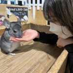 動物カフェ🐁☕