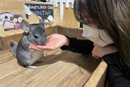 動物カフェ🐁☕