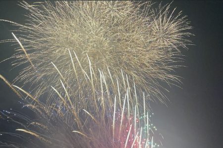 今年最後の花火🎆✨