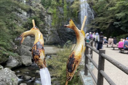 箕面の滝🌿‬