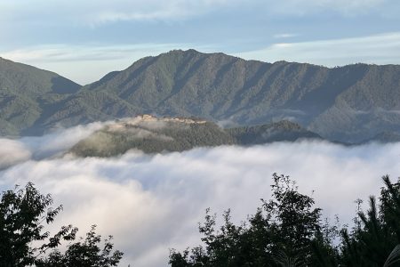 雲海