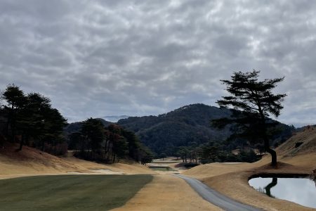 ゴルフ⛳️