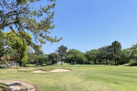ゴルフ⛳️
