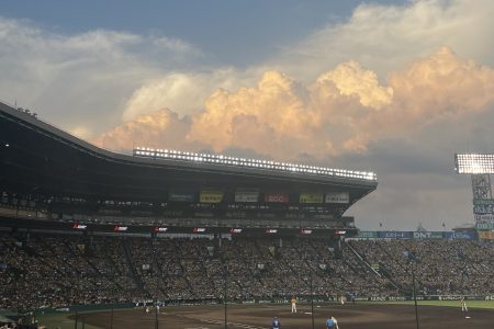 甲子園⚾️