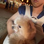 近所の盆踊り♪♪