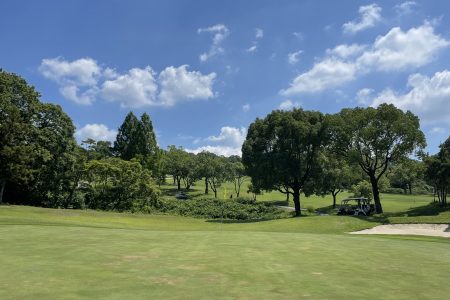 ゴルフ⛳️